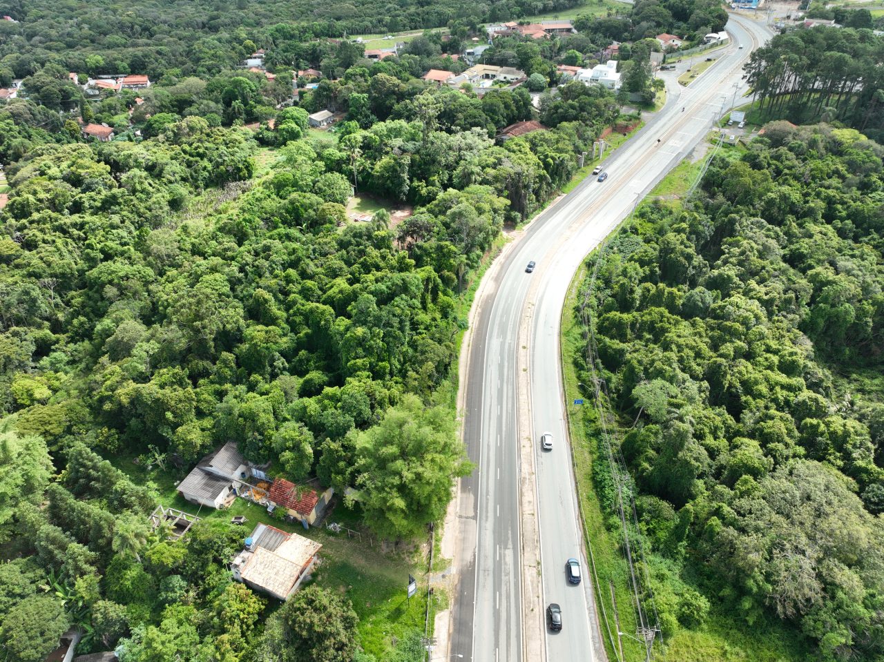 Perspectiva aérea de uma rodovivia em meio à floresta.