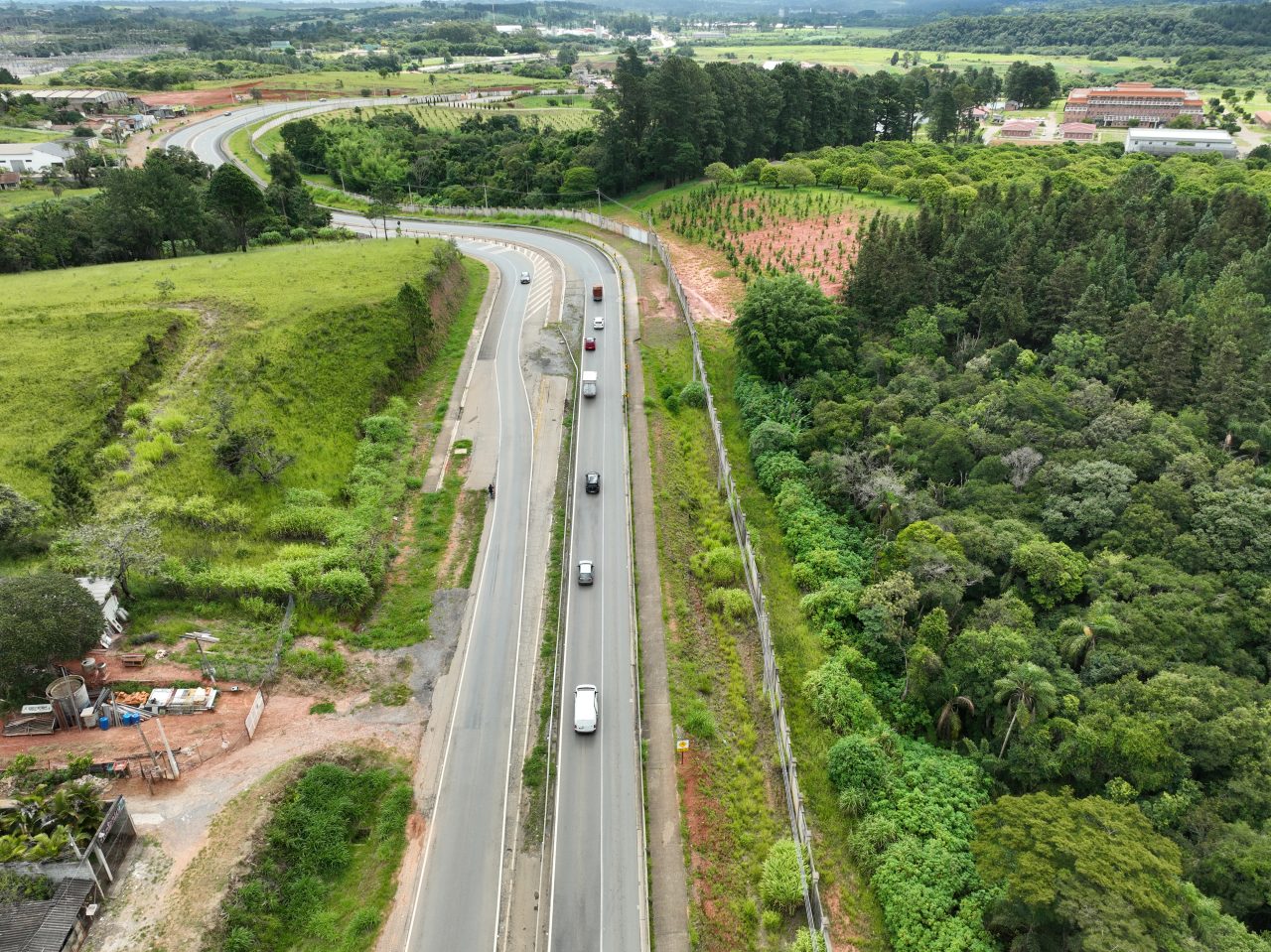 Perspectiva aérea de uma rodovia em meio à floresta.