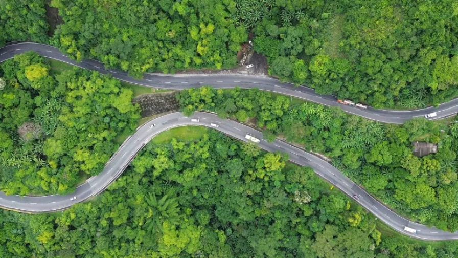 Perspectiva aérea de uma rodovia em meio à floresta.