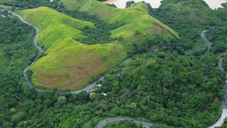 Perspectiva aérea de uma rodovia em meio à floresta.