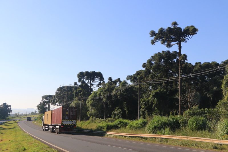 Veículos passarão por praças de pedágio em rodovias administradas pela CCR PRVias para teste do sistema operacional e orientações sobre cobrança - Crédito: Comunicação CCR PRVias